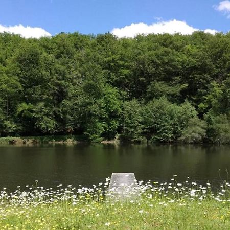 Appartement Aux Sources De La Chabanne Saint-Hilaire-les-Courbes Bagian luar foto